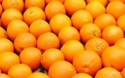 Апельсины вес 10% (14,8-16кг)