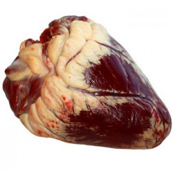 Мясо-Говядина сердце вес Руспродторг 20.0х1 с/м